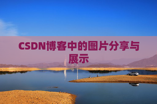 CSDN博客中的图片分享与展示
